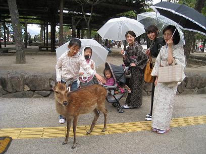 紬の会